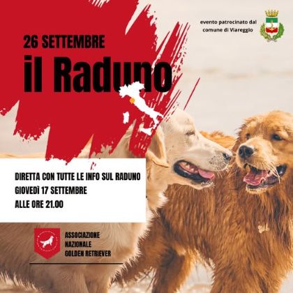 Raduno Golden Retriever 