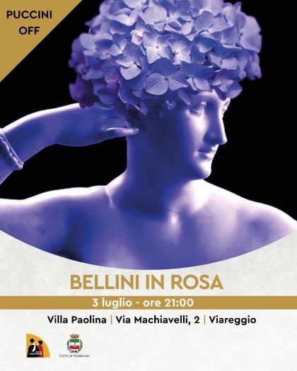 Nel giardino di Villa Paolina - Bellini in rosa